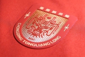 重庆铜梁龙官方：3月20日增补铜梁龙vs蓉城球票